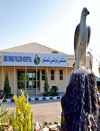 Abu Dhabi Falcon Hospital