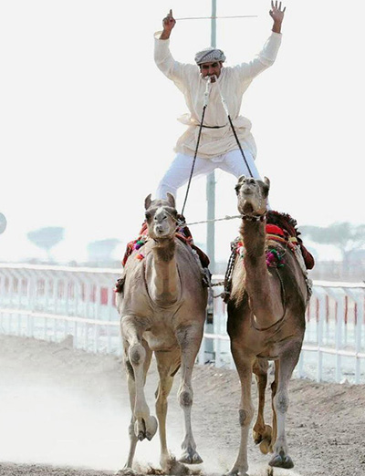 Camel Racing Dubai