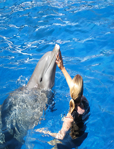 Dubai Dolphinarium