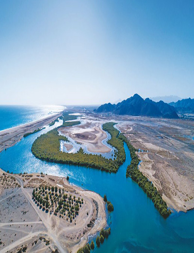 Al Qurm Nature Reserve
